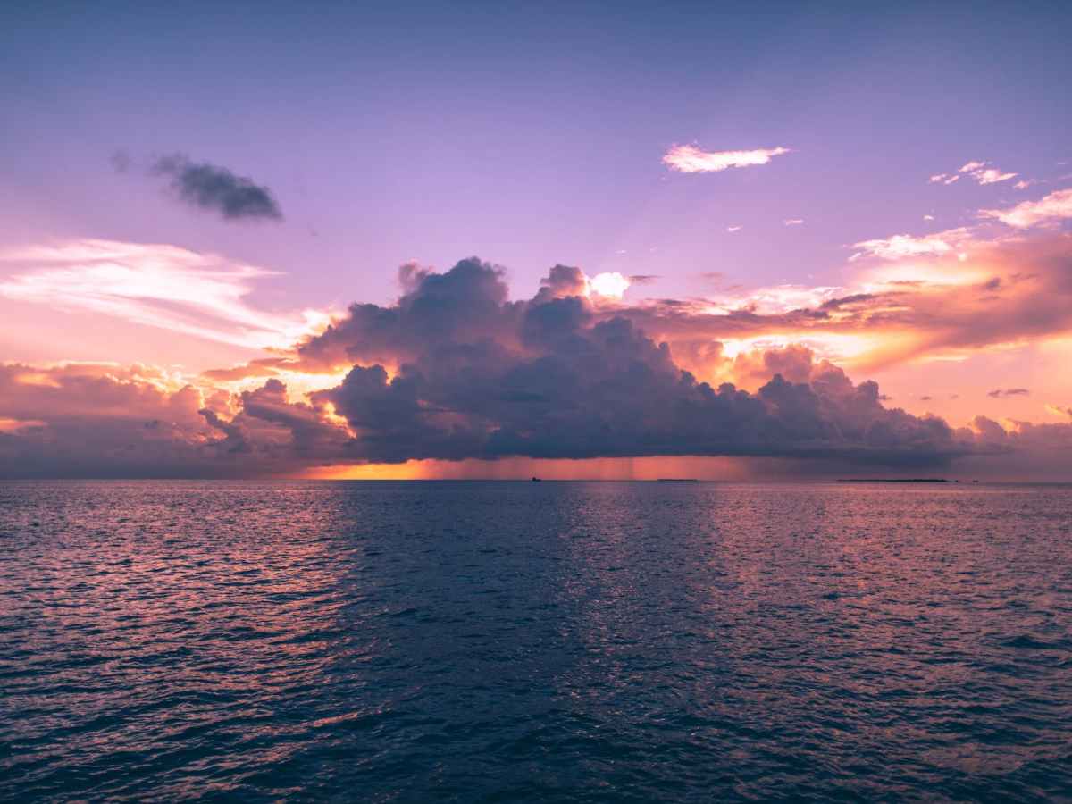 Fresh Dew in&nbsp;You